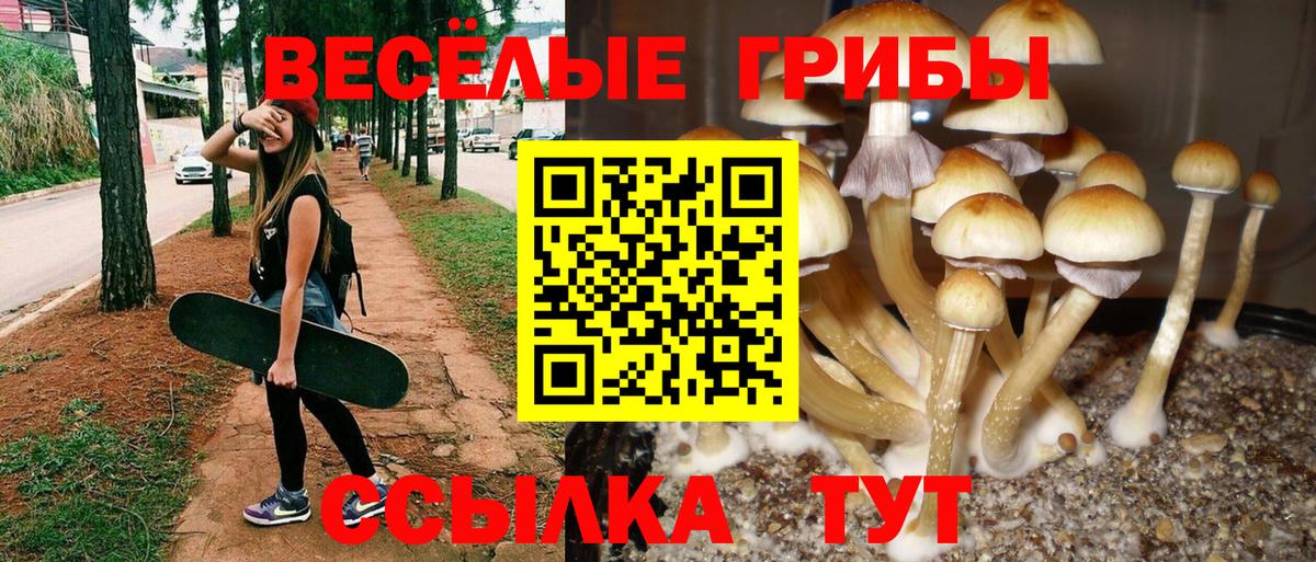 закладки  Галлюциногенные грибы Magic Shrooms  Гурьевск  Вход с VPN  Галлюциногенные грибы мухоморы 