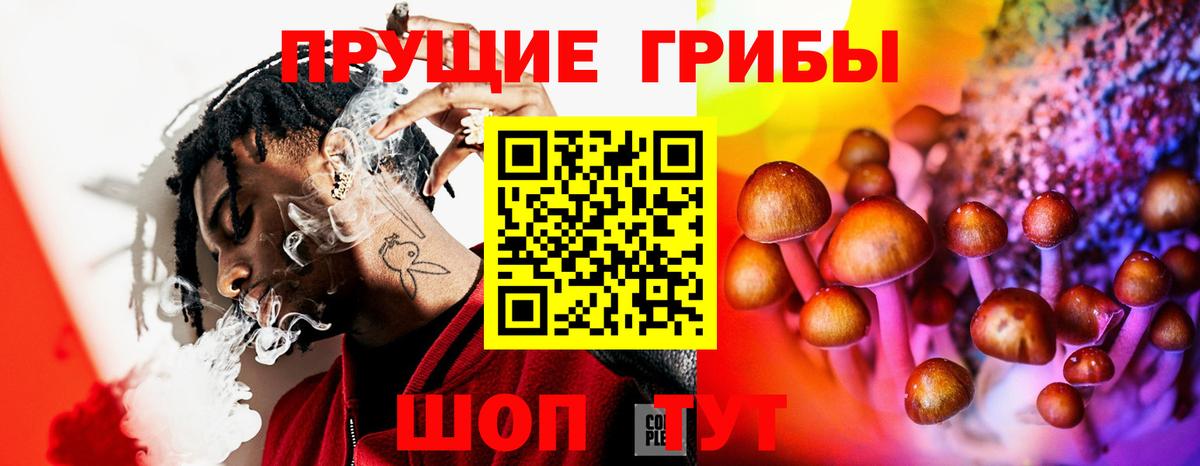 Галлюциногенные грибы мухоморы Гурьевск